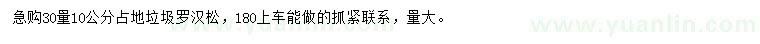 求購30量10公分占地垃圾羅漢松