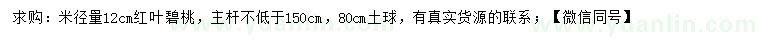 求購米徑12公分紅葉碧桃