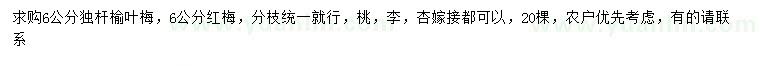 求購6公分獨(dú)桿榆葉梅、紅梅