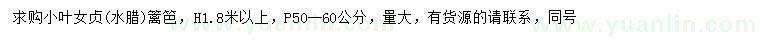 求購高1.8米以上小葉女貞