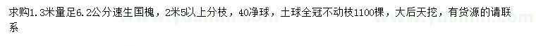 求購1.3米量足6.2公分速生國槐