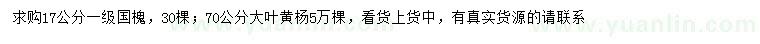 求購17公分國槐、70公分大葉黃楊