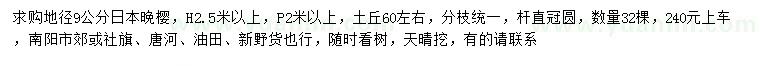 求購地徑9公分日本晚櫻