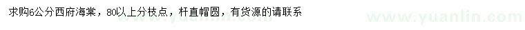 求購(gòu)6公分西府海棠
