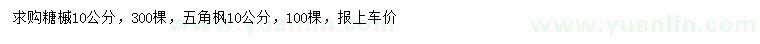 求購10公分糖槭、五角楓