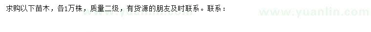 求購米徑4公分烏桕