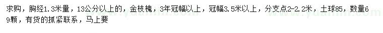 求購胸徑1.3米量13公分以上金枝槐