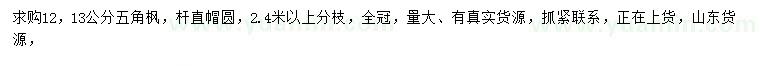 求購(gòu)12、13公分五角楓