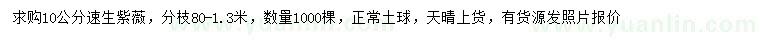 求購(gòu)10公分速生紫薇