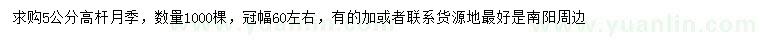 求購5公分高桿月季