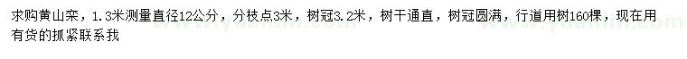 求購1.3米量直徑12公分黃山欒