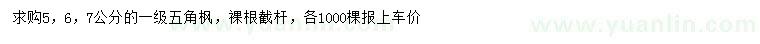 求購5、6、7公分五角楓