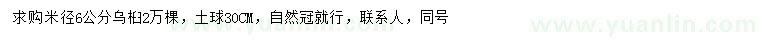 求購6公分烏桕