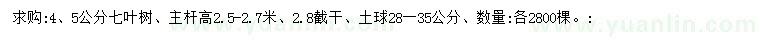 求購4、5公分七葉樹