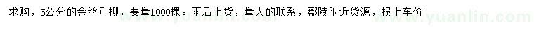 求購5公分金絲垂柳