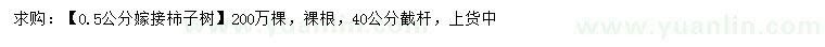求購0.5公分柿子樹