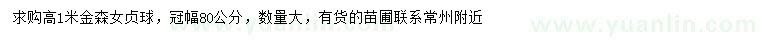 求購高1米金森女貞球