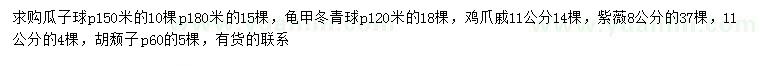 求購瓜子球、龜甲冬青球、雞爪槭等