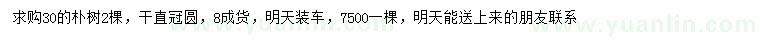 求購30公分樸樹