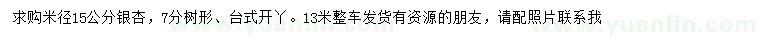 求購米徑15公分銀杏