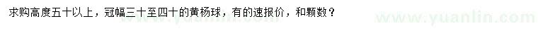 求購高50公分以上黃楊球