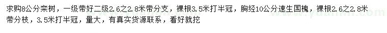 求購8公分欒樹、胸徑10公分速生國槐