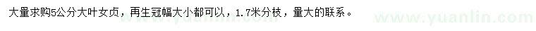 求購5公分大葉女貞