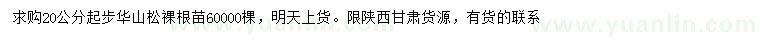 求購(gòu)20公分起步華山松