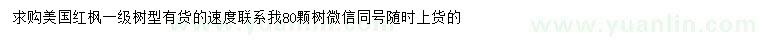 求購米12公分美國紅楓
