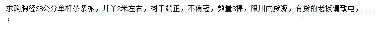 求購胸徑38公分茶條槭