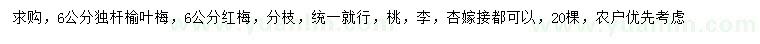 求購(gòu)6公分榆葉梅、紅梅