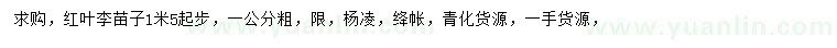 求購(gòu)1.5米起步紅葉李