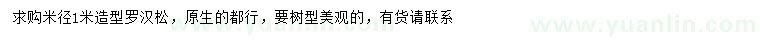 求購米徑1米造型羅漢松