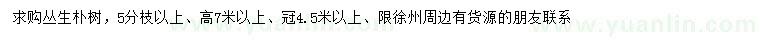 求購高7米以上叢生樸樹
