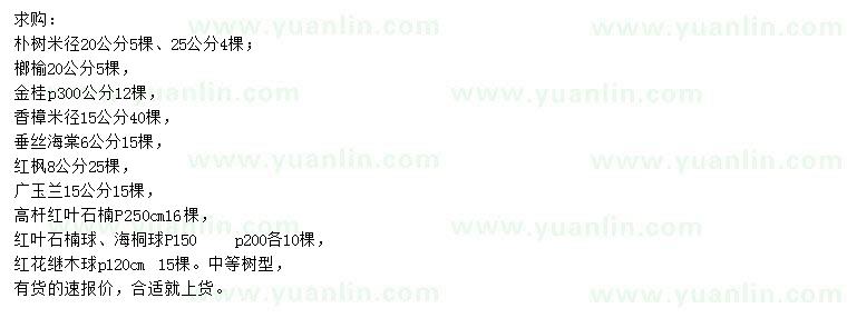 求購樸樹、榔榆、桂花等