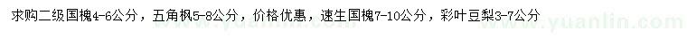 求購國槐、五角楓、速生國槐等