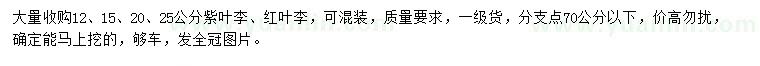 求購12、15、20、25公分紫葉李、紅葉李