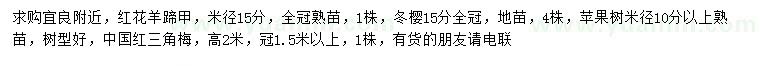 求購紅花羊蹄甲、冬櫻、蘋果樹等