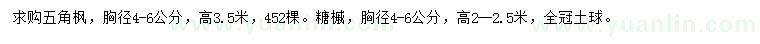 求購胸徑4-6公分五角楓、糖槭