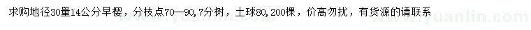 求購地徑30量14公分早櫻