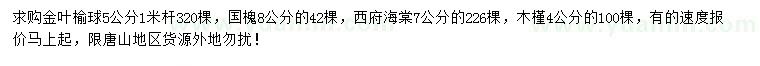 求購金葉榆，國槐，西府海棠等