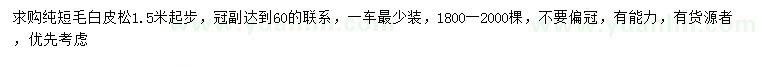 求購1.5米起步白皮松