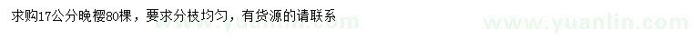 求購17公分晚櫻