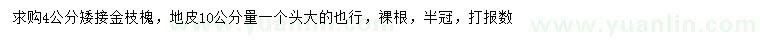 求購4公分矮接金枝槐