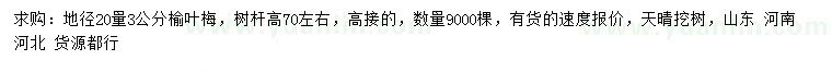 求購(gòu)地徑20量3公分榆葉梅
