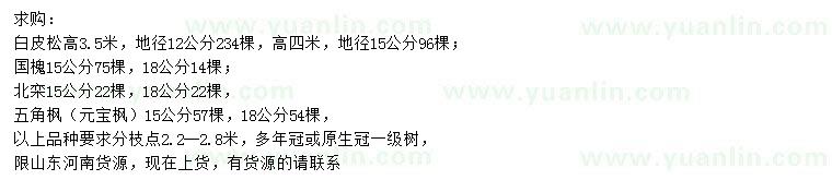 求購白皮松、國槐、北欒等