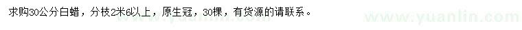 求購(gòu)30公分白蠟