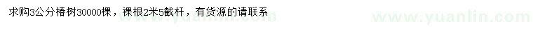 求購3公分椿樹