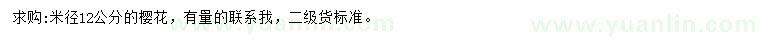 求購米徑12公分櫻花