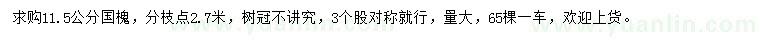求購11.5公分國槐